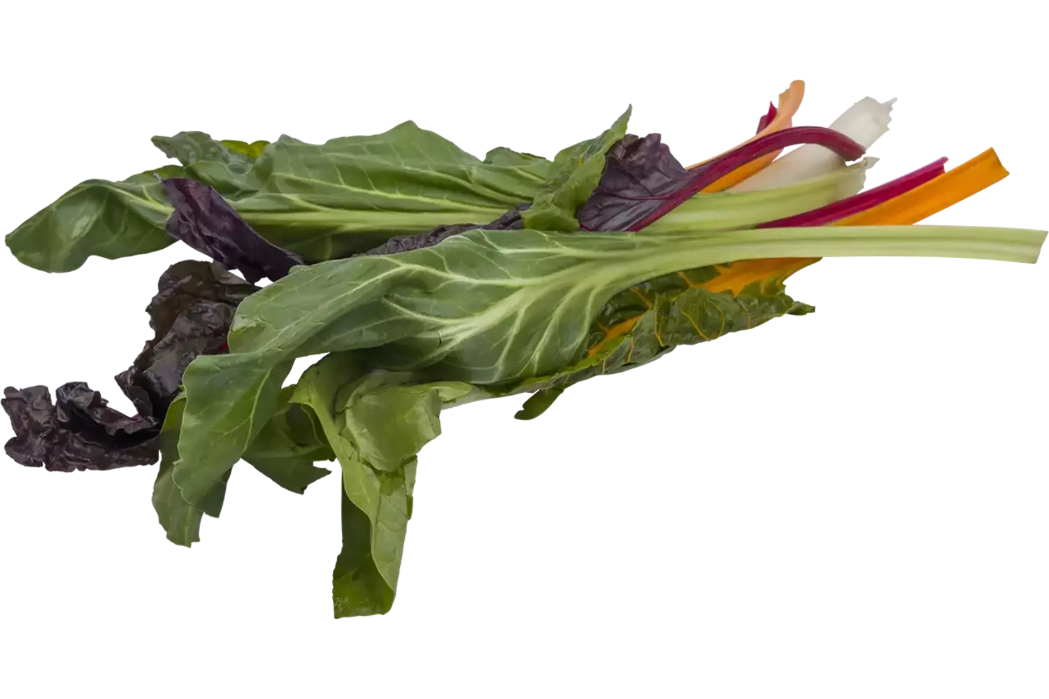 Snijbiet mix 250gr stuk 1